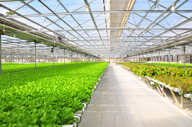 Scientific Farming