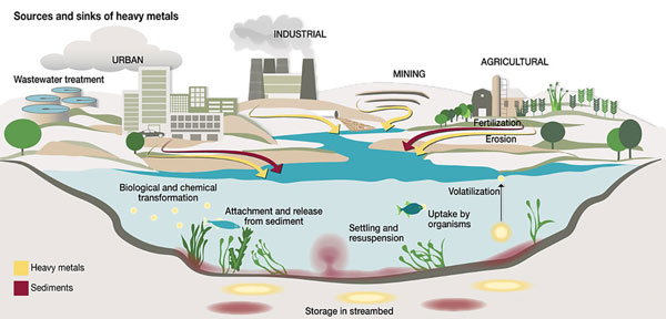 Environmental Sources of Pollutants