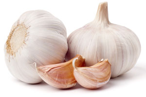 Garlic