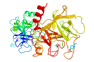 Protease (pH 4.7)