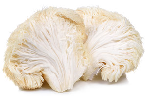 Lion's Mane