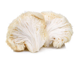 Lion's Mane