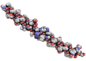 UC-II Collagen
