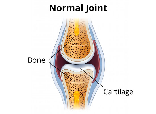 Normal Joint