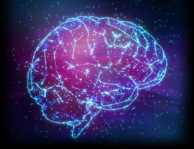 Synapses in the Brain
